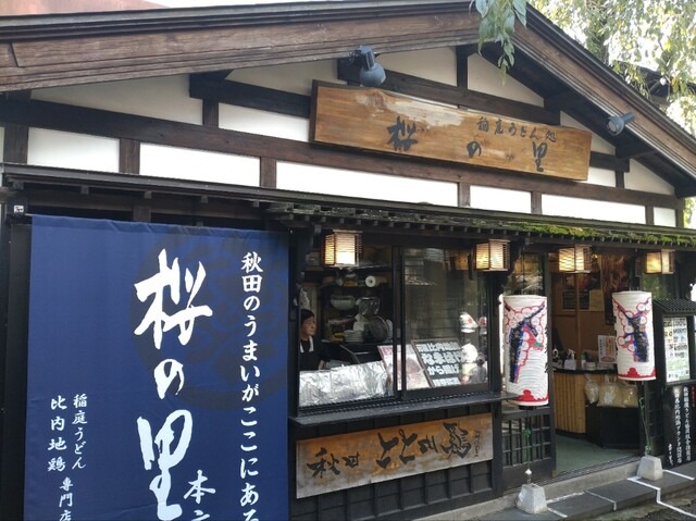 【お食事処 桜の里】角館で外せない！比内地鶏親子丼&稲庭うどんの定番店